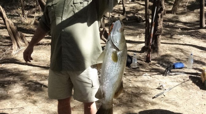 Barramundi Fishing June 20, 2015